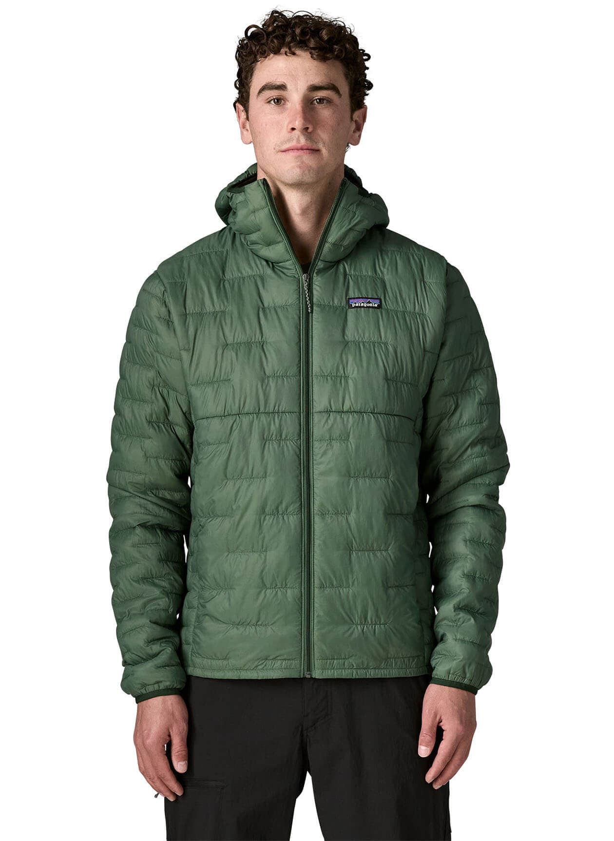 Patagonia Men's Micro Puff Hoody - Canopy Green (CNGR) 3XL
