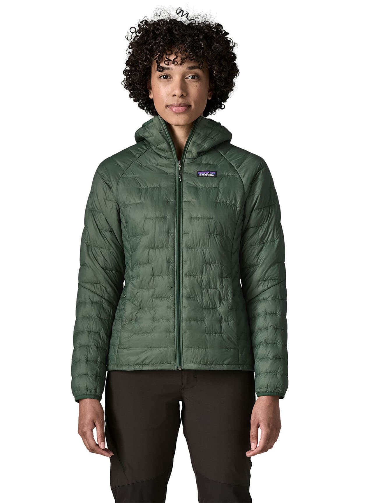 Patagonia Women's Micro Puff Hoody - Canopy Green (CNGR) LG
