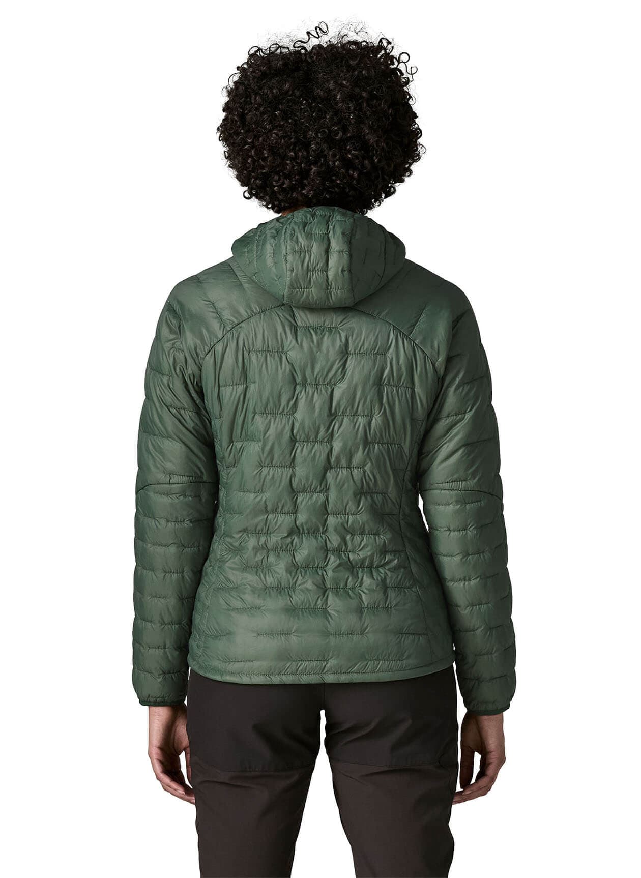 Patagonia Women's Micro Puff Hoody - Canopy Green (CNGR) LG