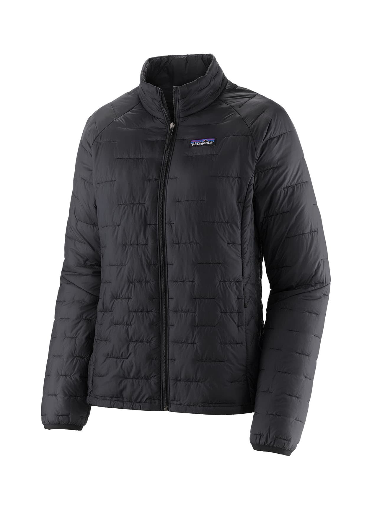 Patagonia Women's Micro Puff Jacket - Black LG