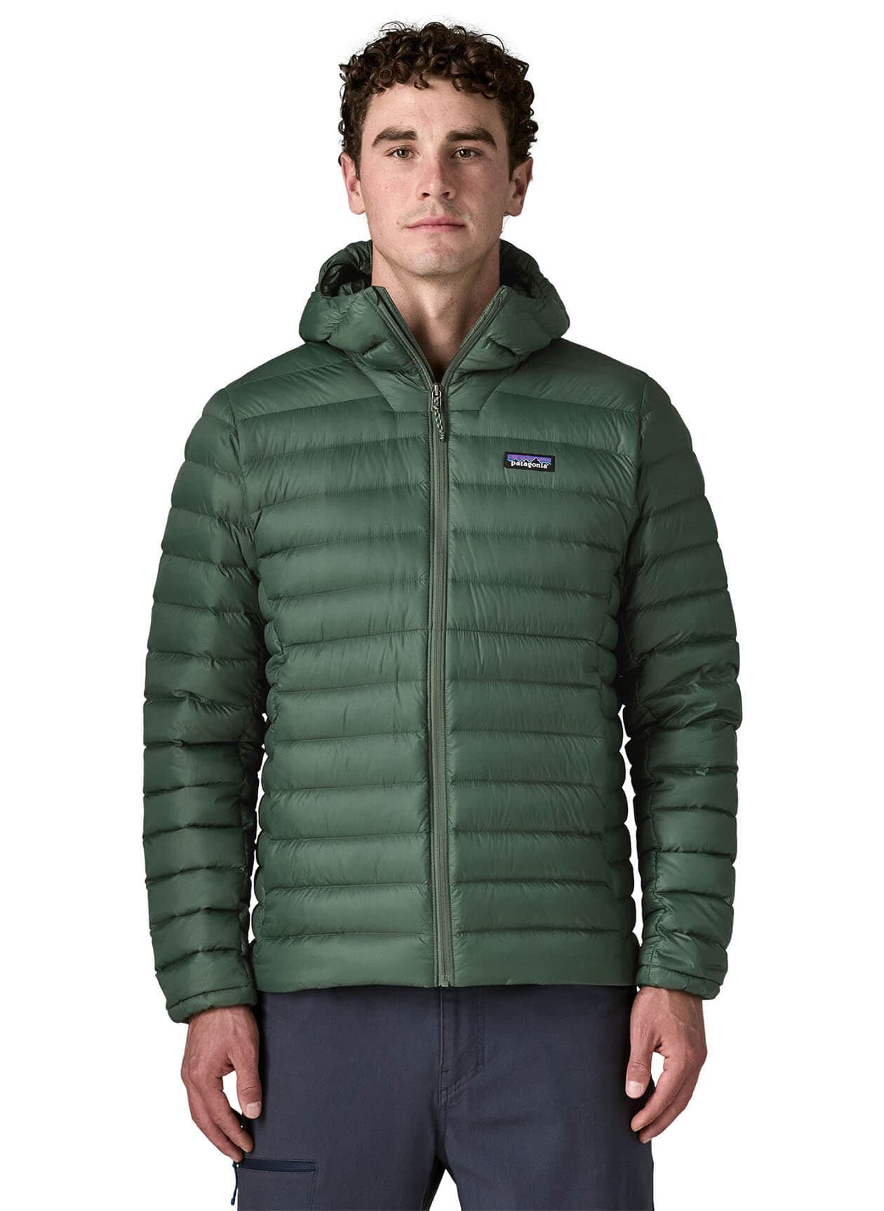 Patagonia Men's Down Sweater Hoodie - Treeline Green 3XL