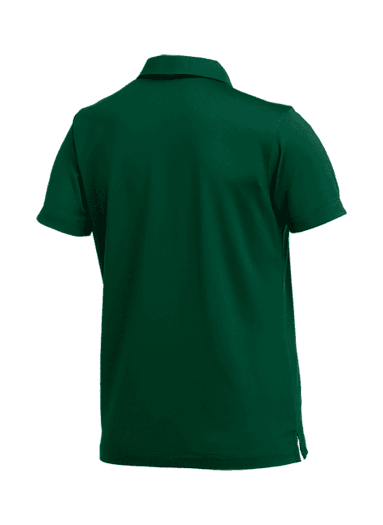 Nike Women's Dri-FIT Franchise Polo - Team Dark Green (341) LG