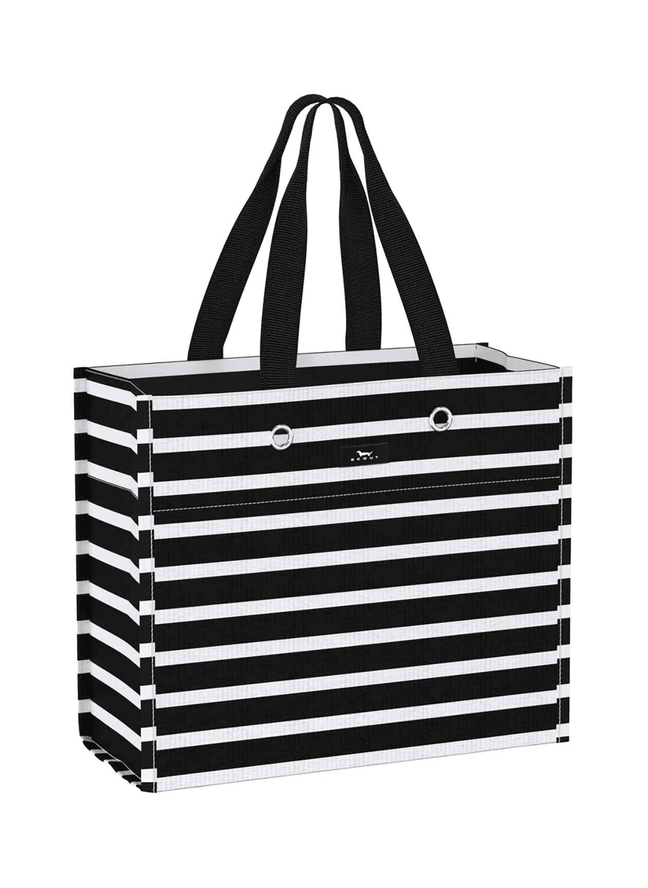 Scout Large Package Tote
