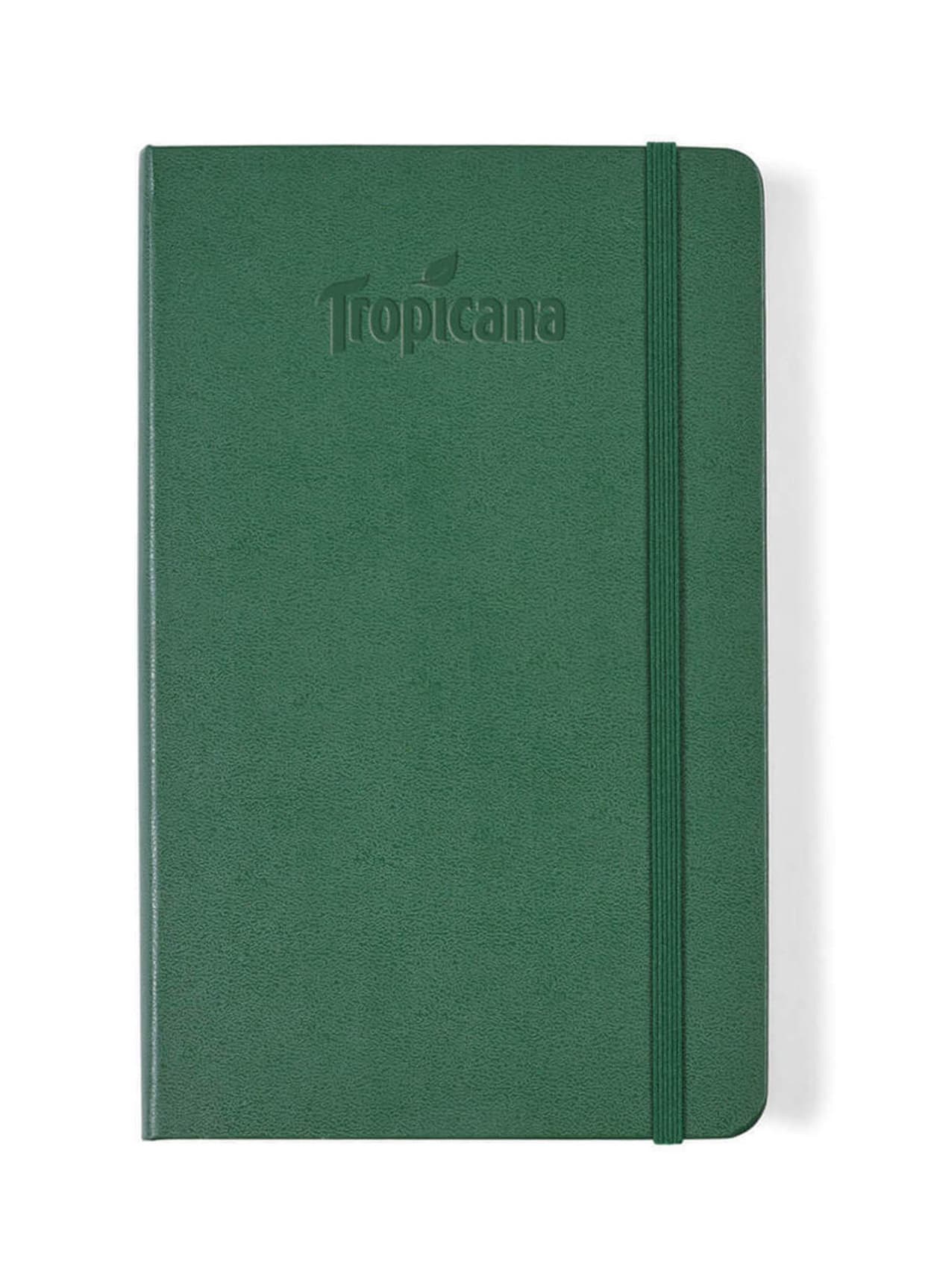 Moleskine Hard Cover Ruled Large Notebook - Green MISC
