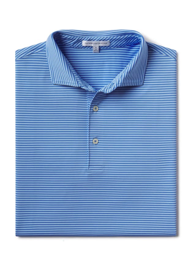 Fairway & Greene Men's Park Stripe Polo - Blue LG
