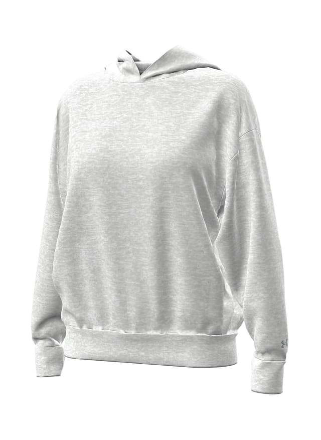Under Armour Women's Icon Fleece Hoodie - Light Grey LG